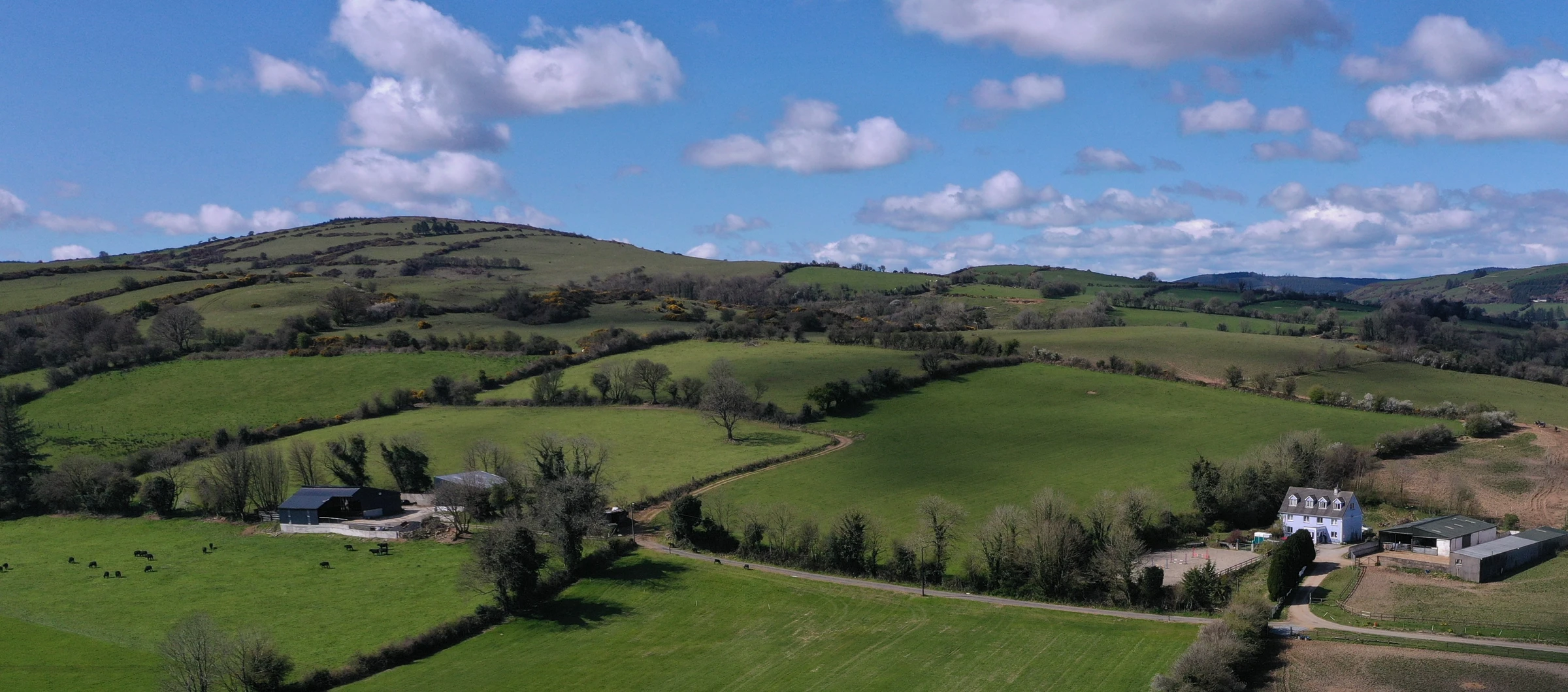 Rusheen House – 6-Bedroom Ryder Cup Retreat with Horse Riding | Tipperary — photo 1
